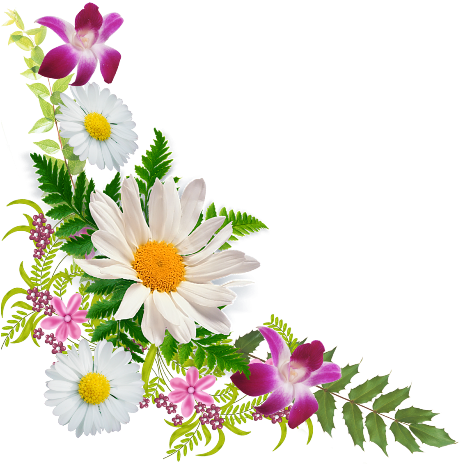 Welcome To Our Hand Picked Fleur Clipart Page Please - Fleur De Montagne Png (481x472)