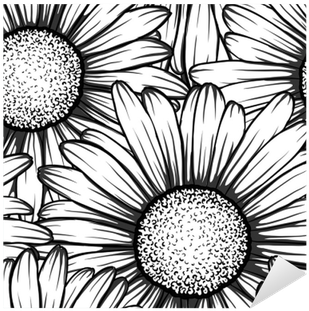 Monocromo Transparente Con Flores Margarita - Margaritas Dibujadas En Blanco Y Negro (400x400)