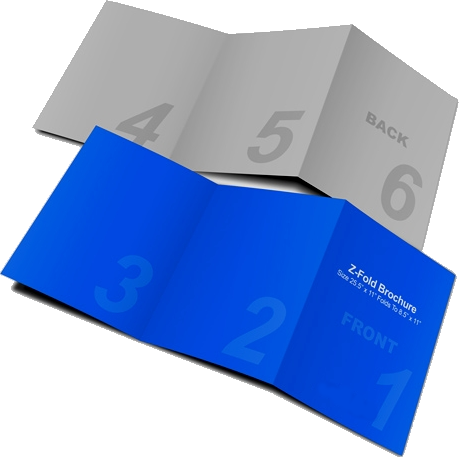 5 X 11 Booklet Printing - 8.5 X 5.5 Brochure (459x457)