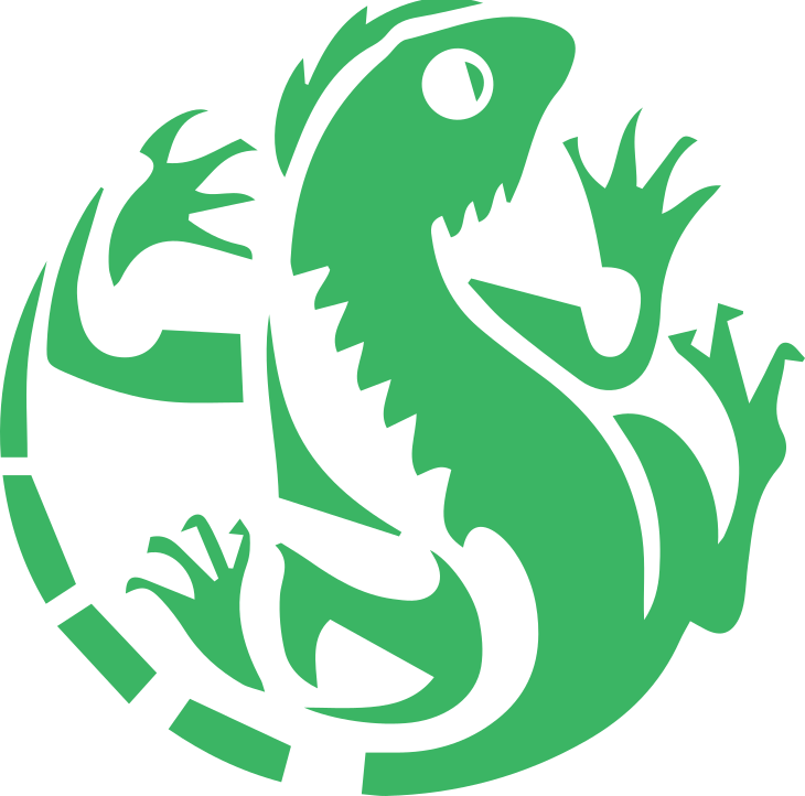Something Something - Iguana (730x722)