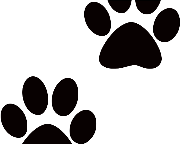 Dogs Clipart Clear Background - Transparent Background Dog Paw Clipart (640x480)