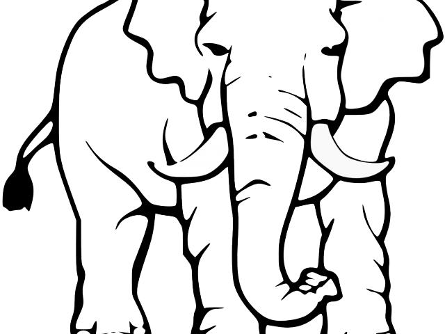 Elephant Clipart Ant - Elephant Black And White Drawing (640x480)