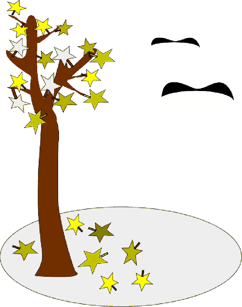 Fall Clip Art , Png Download - Fall Clip Art (800x1015)