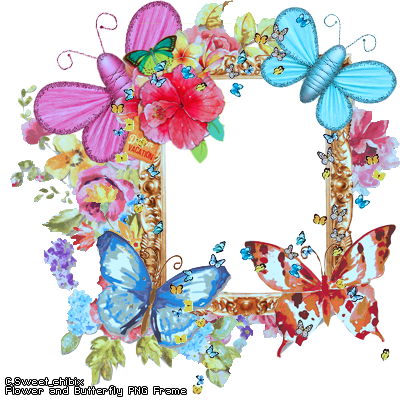 Flowers And Butterfly Frame Png (400x400)