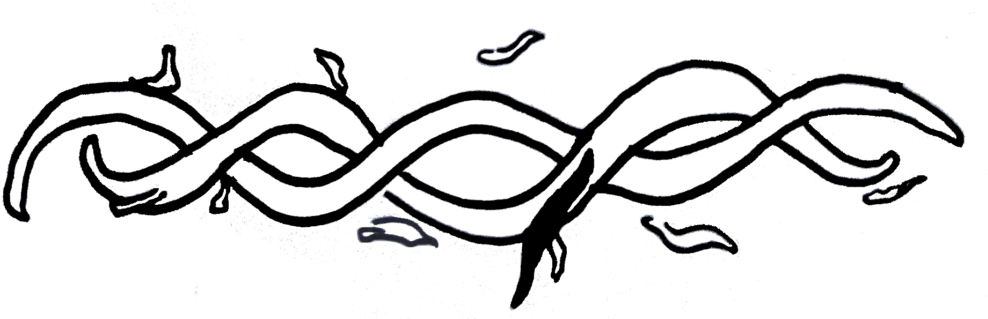 Sometimes Rna Can Be Decorated With Chemical Markers, - Line Art (1000x318)