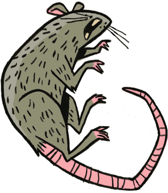 Moving Out, And It Was Full Of Tapes - Moving Out, And It Was Full Of Tapes (600x673)