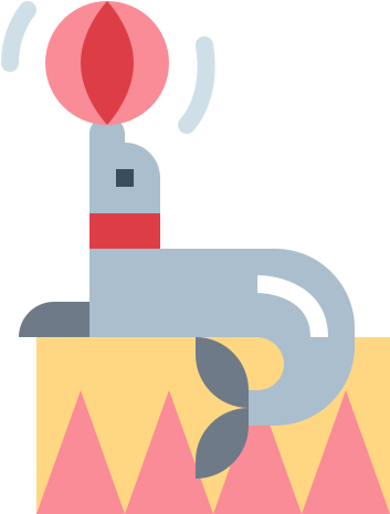 Sea Lion Free Icon - Graphic Design (512x512)