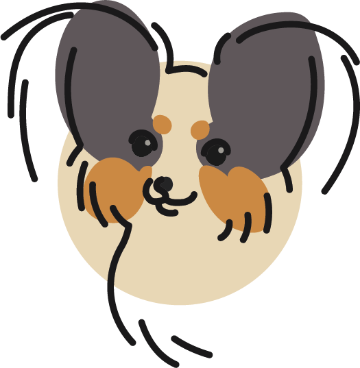 20 Years Of Papillon Breeding Experience - Cartoon (525x537)