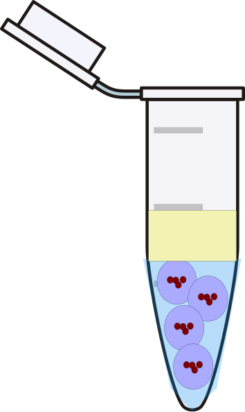 After Centrifugation Clip Art - Eppendorf Tube Clipart (354x594)