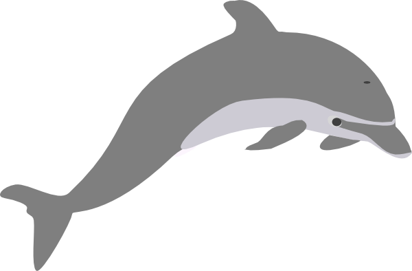 Grey Dolphin Clipart (600x394)