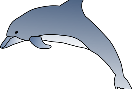 Clip Art Royalty Free Library Pictures Of Dolphins - Dolphin Clip Art Transparent (450x300)