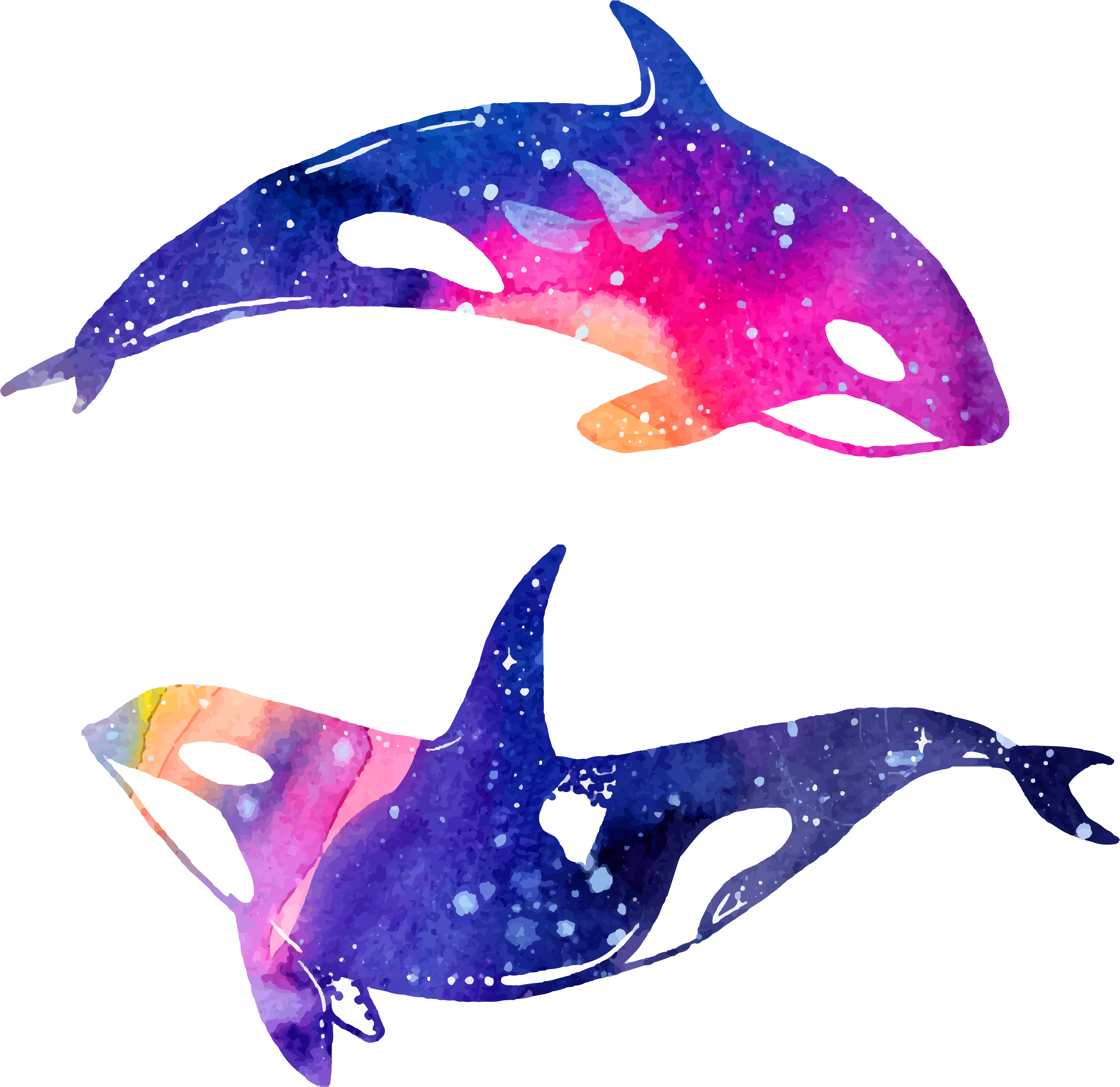 Painting Illustration Hand Painted Whale - Dolphin Watercolor (4167x4167)