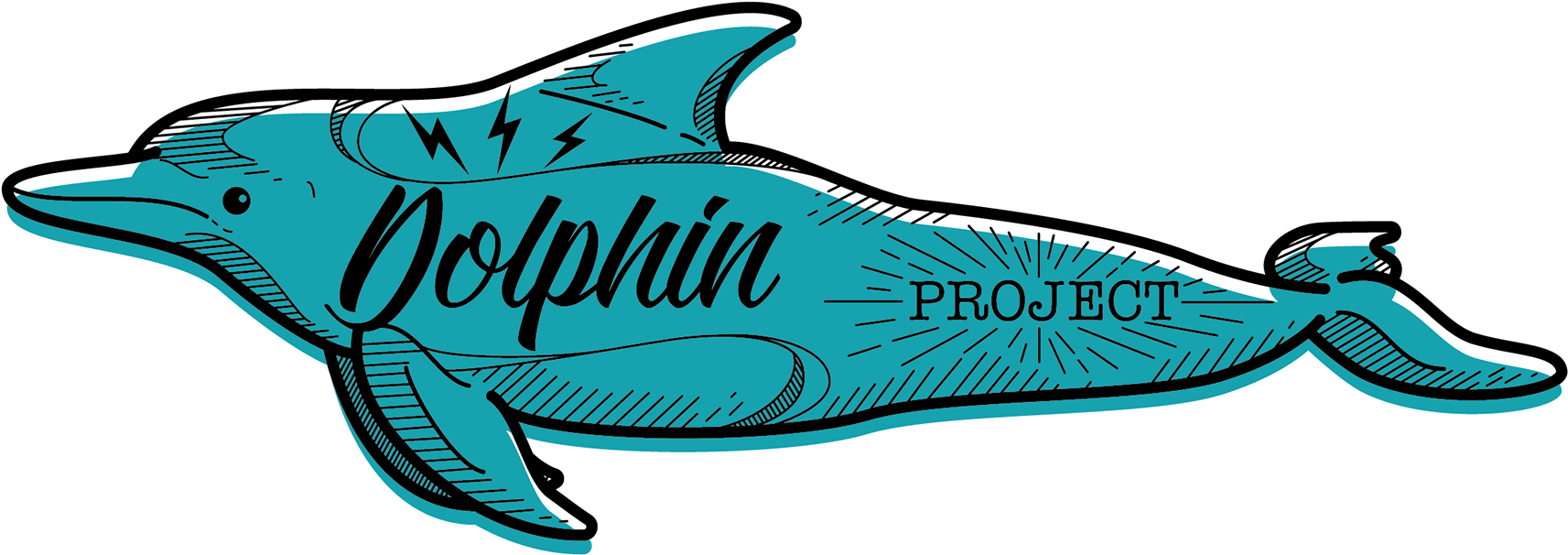 1920 X 1484 5 - Dolphin (1920x1484)