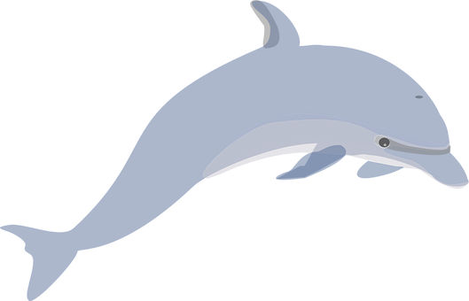 Dolphin, Mammals, Swimming, Cute, Animal - Jumping Dolphin Clip Art (529x340)