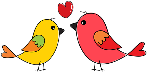 Birds, Nature, Animals, Flying, Wing - Birds, Nature, Animals, Flying, Wing (566x340)