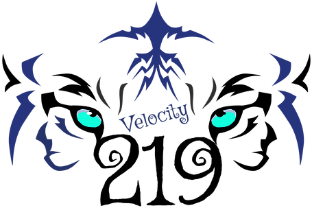 Hammond Velocity 219 Elite - Wyoming Beasts Basketball (514x311)