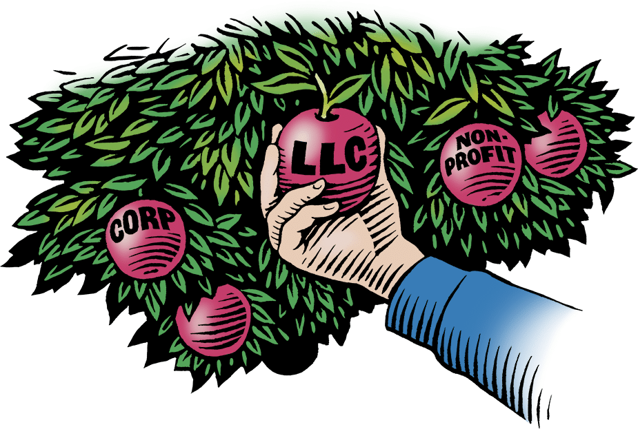 Structure Clipart Business Structure - Illustration (925x623)