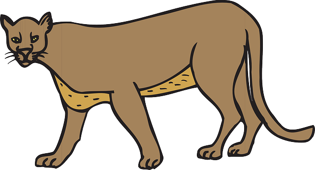 Gato Color Arte Caminar Animales Puma - Cougar Clip Art (640x345)