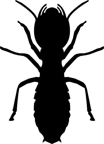 363 X 505 18 - 363 X 505 18 (363x505)