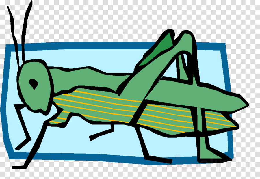 Energy Clipart Food Chain Insect Clip Art - Camera Logo Clipart (900x620)