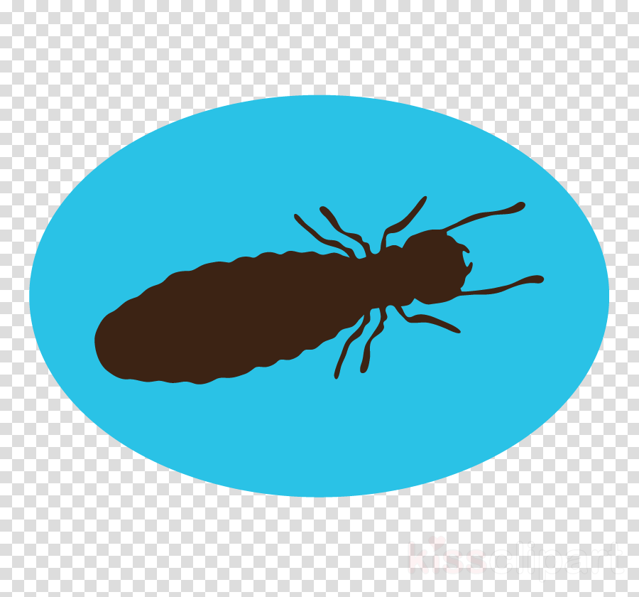 Termite Scout Clipart Fly Termite Pest - Clipart Pig Noses (900x840)