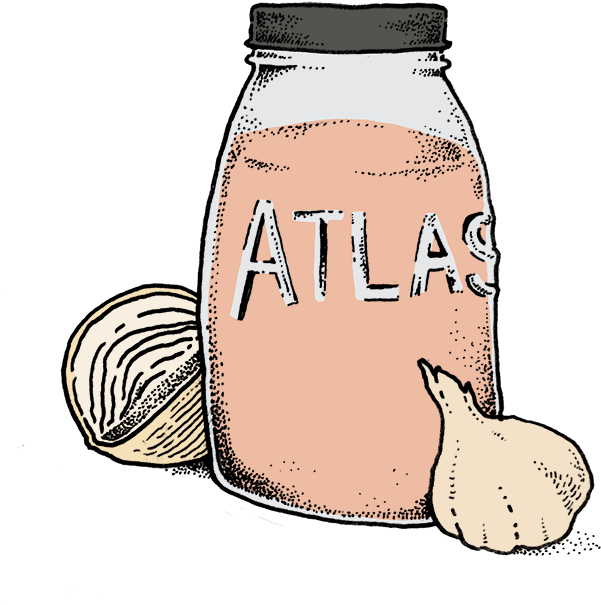 Fire Cider Jar - Sketch (720x658)