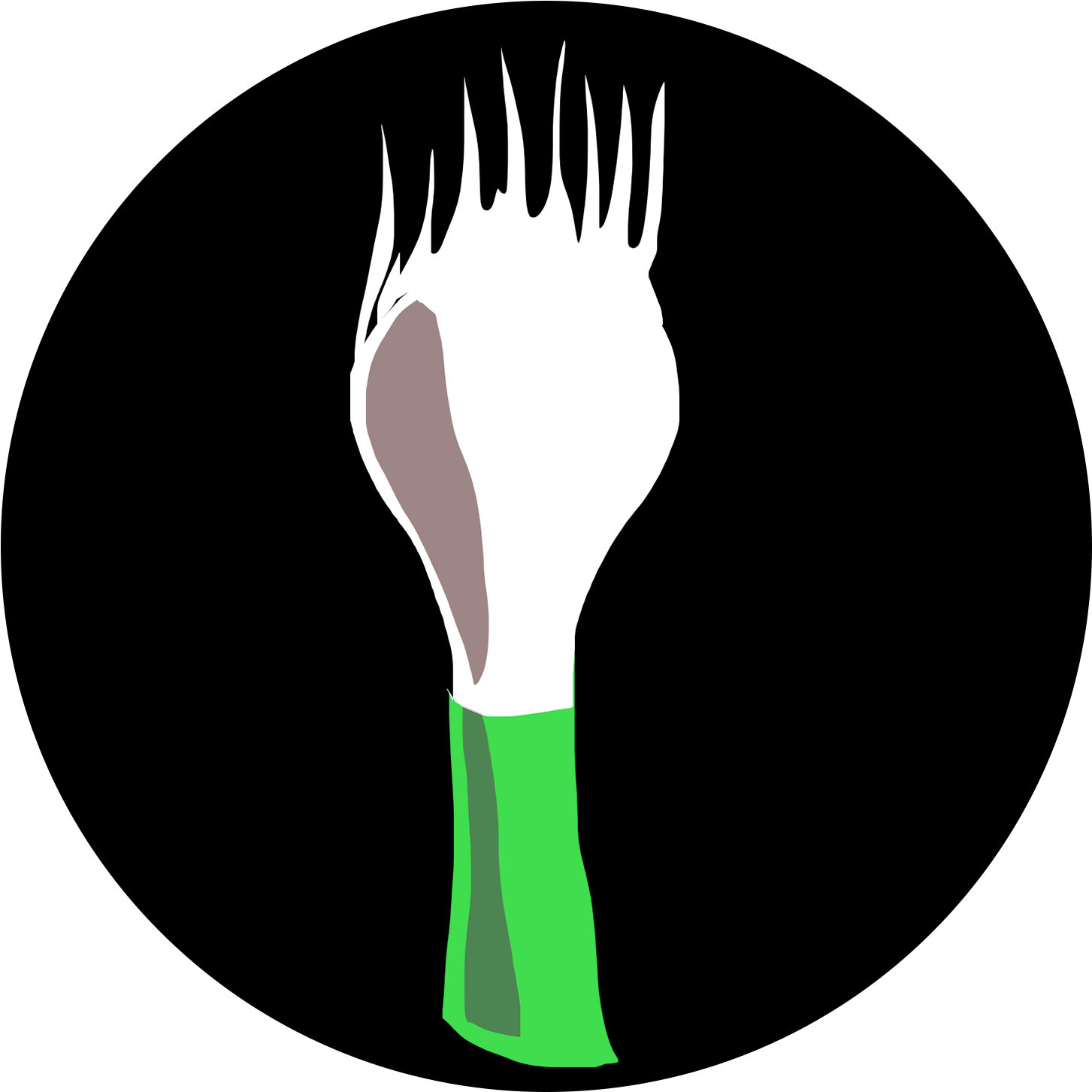 Scallion Icon - Illustration (2048x2048)