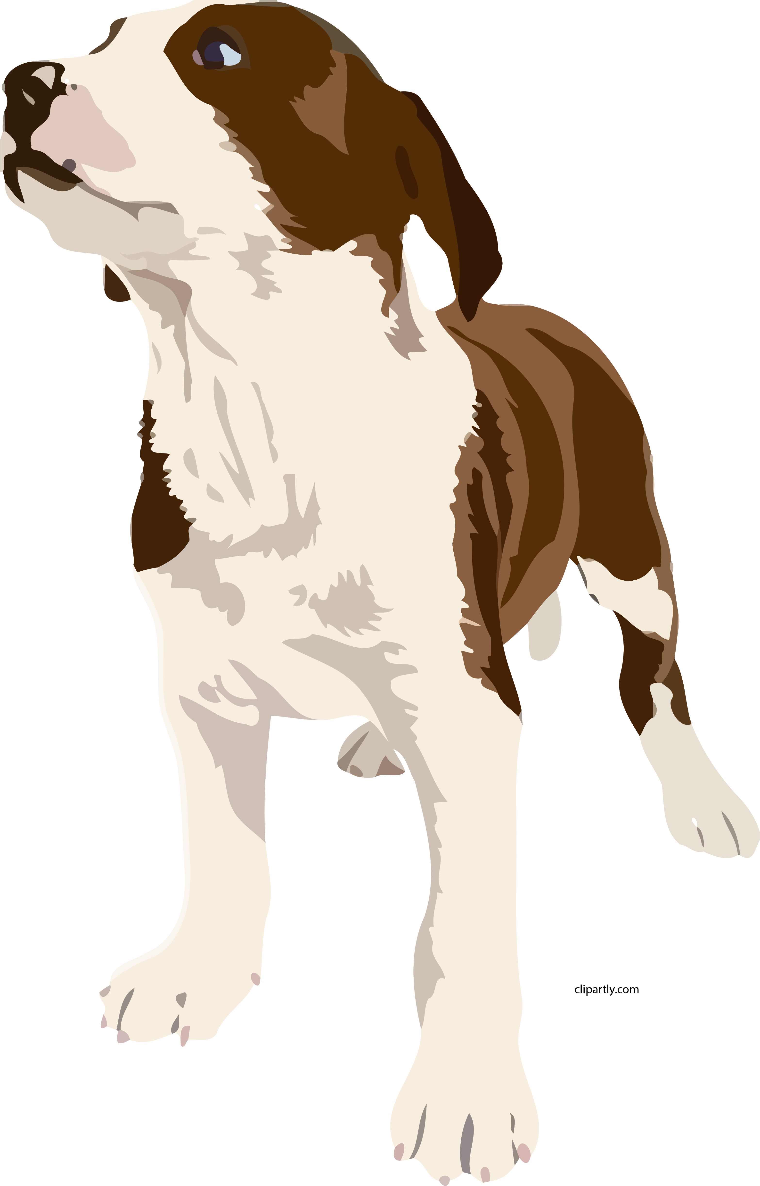 Dog Realistic Clipart Png - Brown And White Dog Clipart (3133x4886)