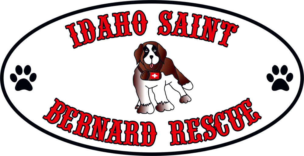 Idaho Saint Bernard Rescue - Idaho Saint Bernard Rescue (1000x513)