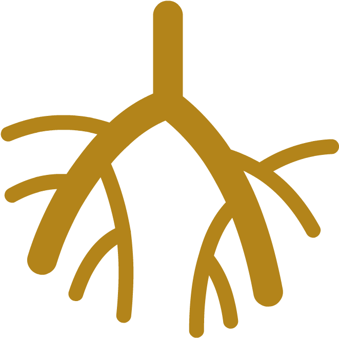 Lymphatic System - Ultrasound Tech Icons (880x880)