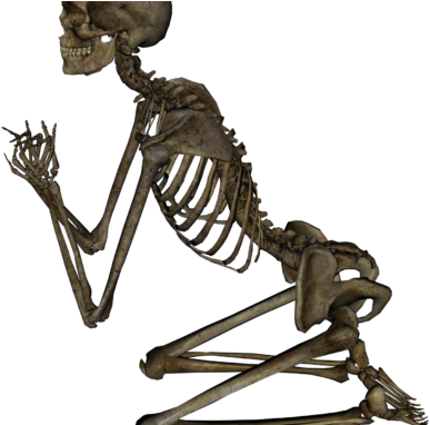 Skeleton Clipart Images - Esqueleto Anti Otaku Sticker (678x381)