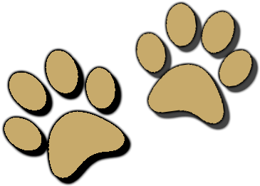 Melissa Purvis Puppies - Melissa Purvis Puppies (418x346)
