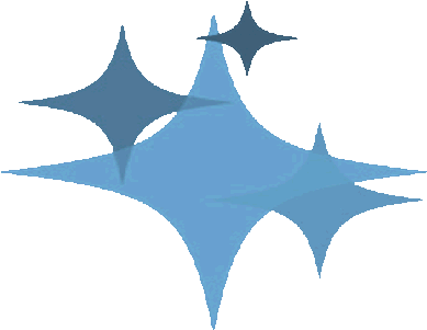 Standard Poodle Male Stud For Golden Doodles F1 And - Waterpoort (398x305)