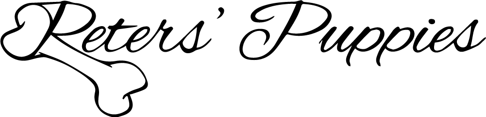 Peters' Puppies - Calligraphy (1001x242)