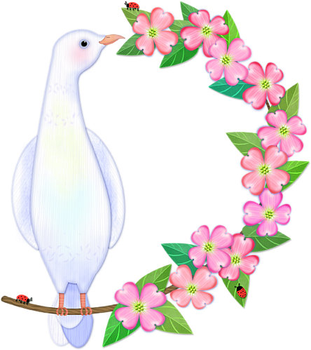 Click And Drag To Re-position The Image, If Desired - Duck (600x600)