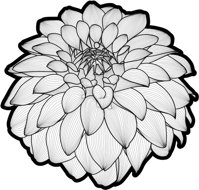 Medium Image - Clipart Black And White Design (800x769)