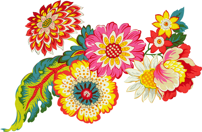 Learn More About The People Behind It All - Common Zinnia (695x458)