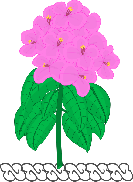 West Virginia National Guard Crest - Common Zinnia (438x600)