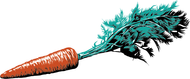 Carrot - Illustration (647x268)