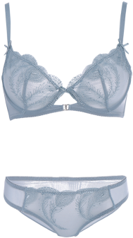 2018 Transparent Embroidered Ultra Thin Bra Set Blue - Lingerie Top (350x350)