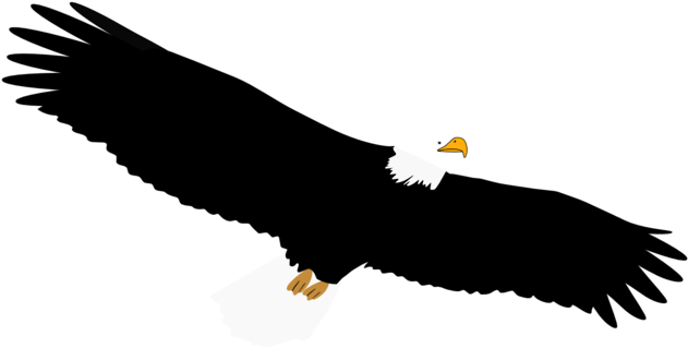 Eagle - Bald Eagle (958x1277)