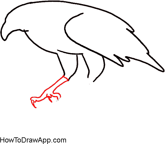 Image Royalty Free How To Draw An Easy By Steps - Draw An Eagle's Legs (600x600)