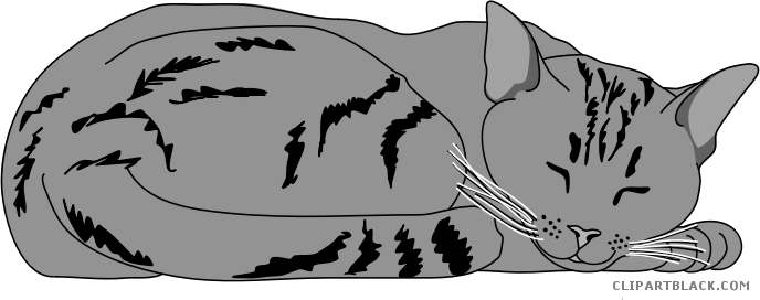 Cat Large Animal Free Black White Clipart Images Clipartblack - Намалювати Кота (688x272)