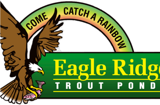 Golden Eagle (640x480)