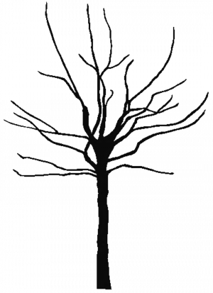 Trees Coloring Tu B Shevat Trees Coloring Tree African - Tree Trunk Silhouette Png (300x413)