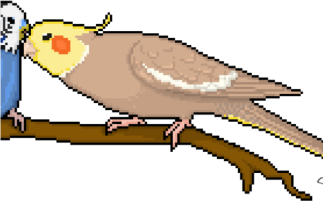 Budgie Clipart Pixel Art - Cockatiel Pixel Art (640x480)