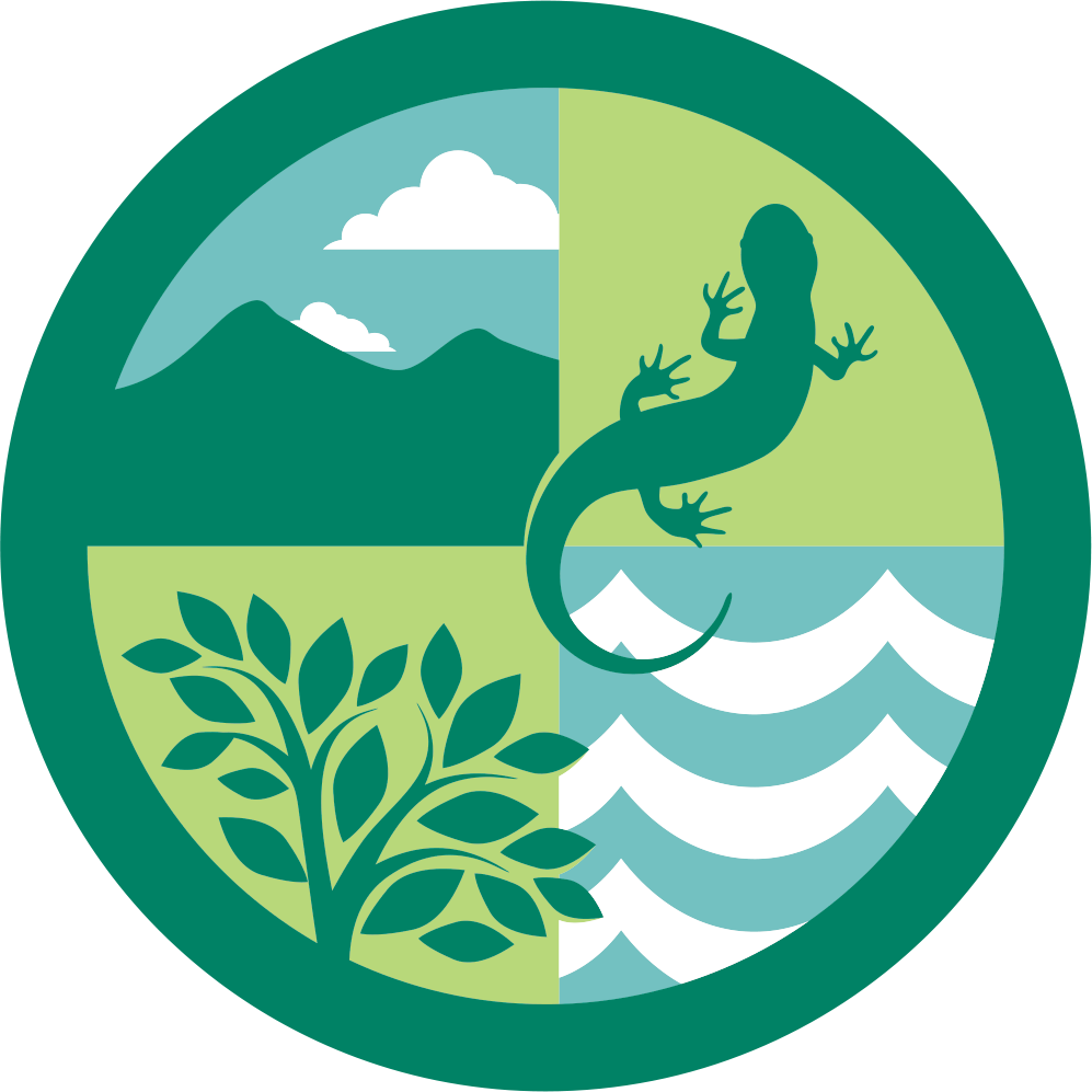 Clipart Forest Forest Ecosystem - Black And White Simple Tree Design (997x997)