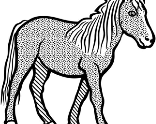Unicorn Clipart Zebra - Clip Art Of Horse Black And White (640x480)