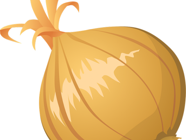 Onion Clipart Vector - Onion Art Transparent (640x480)