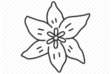 What Is The State Of New Mexico - Line Art (450x300)